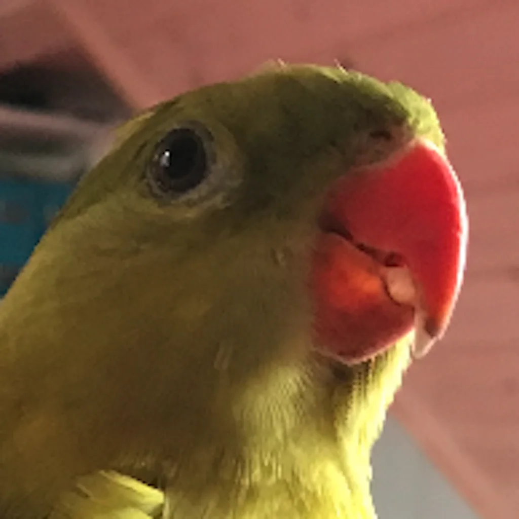 Profilbild von Olaf
