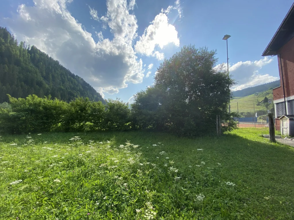 Naturerlebnis direkt beim Hallenbad