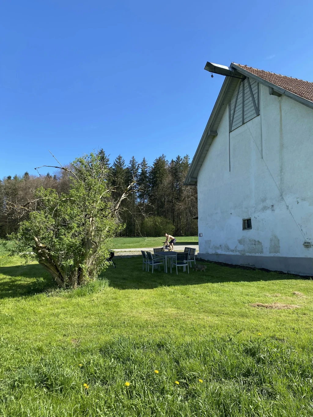 Wiese, Wald, Weitblick – Natur pur!
