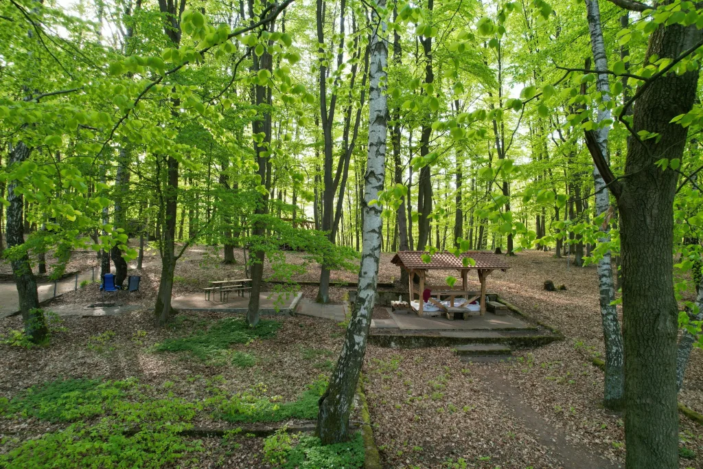Wald-Shelter im Buchengrün