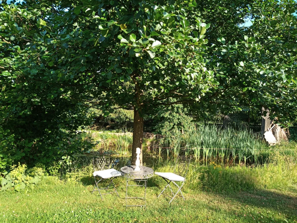 Sichere Wiese mit Naturteich