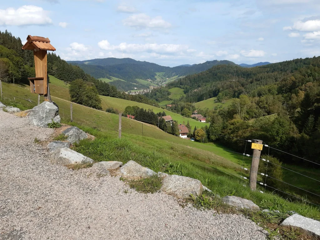Talblick im Schwarzwald