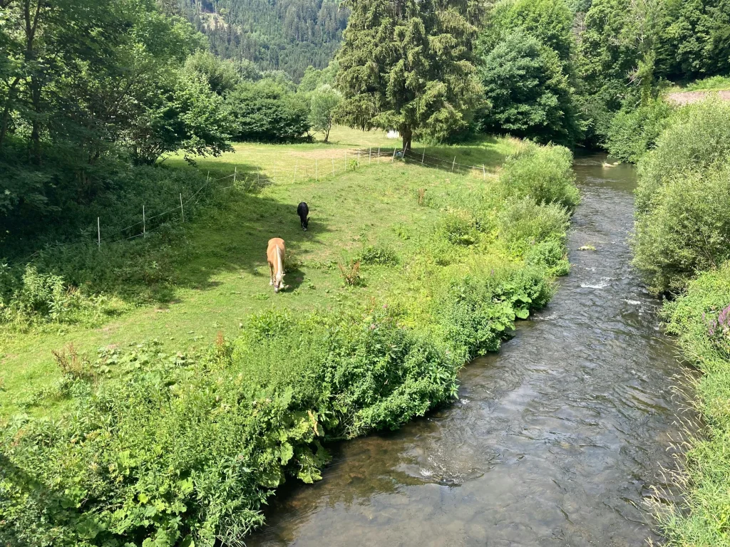 Übernachtung historisches Nagoldtal