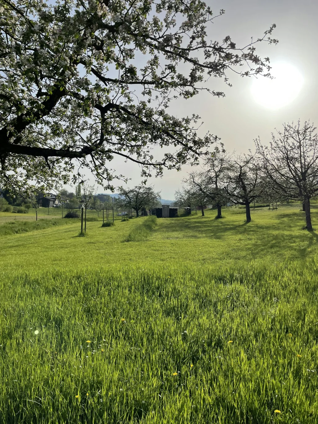 Familyfarm Camping