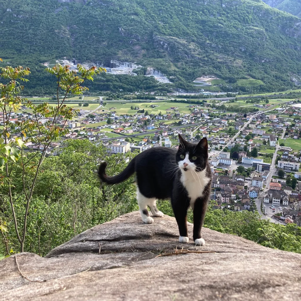 Profilbild von Markus