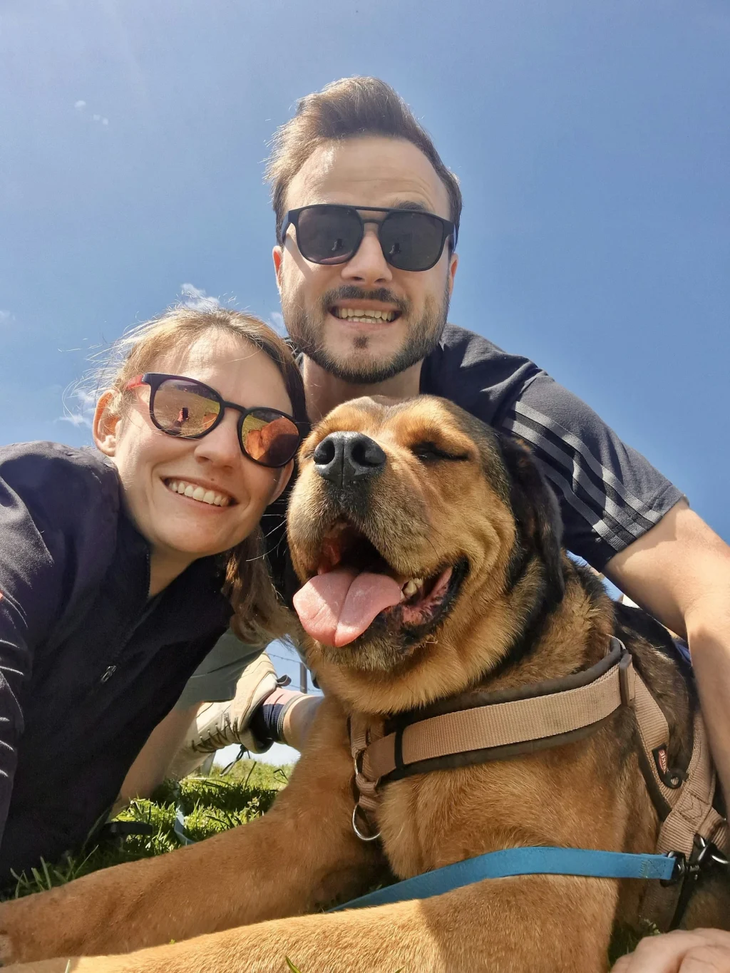 Profilbild von Dennis