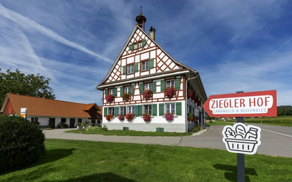 grüne Wiese mit Bergsicht