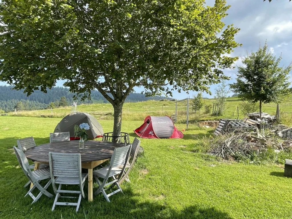 Camp Boinod