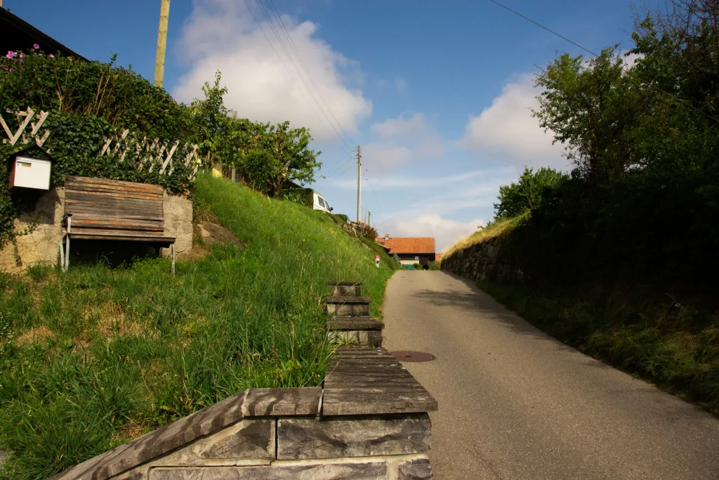 Die Zufahrt Höhenstrasse von Spiez her.