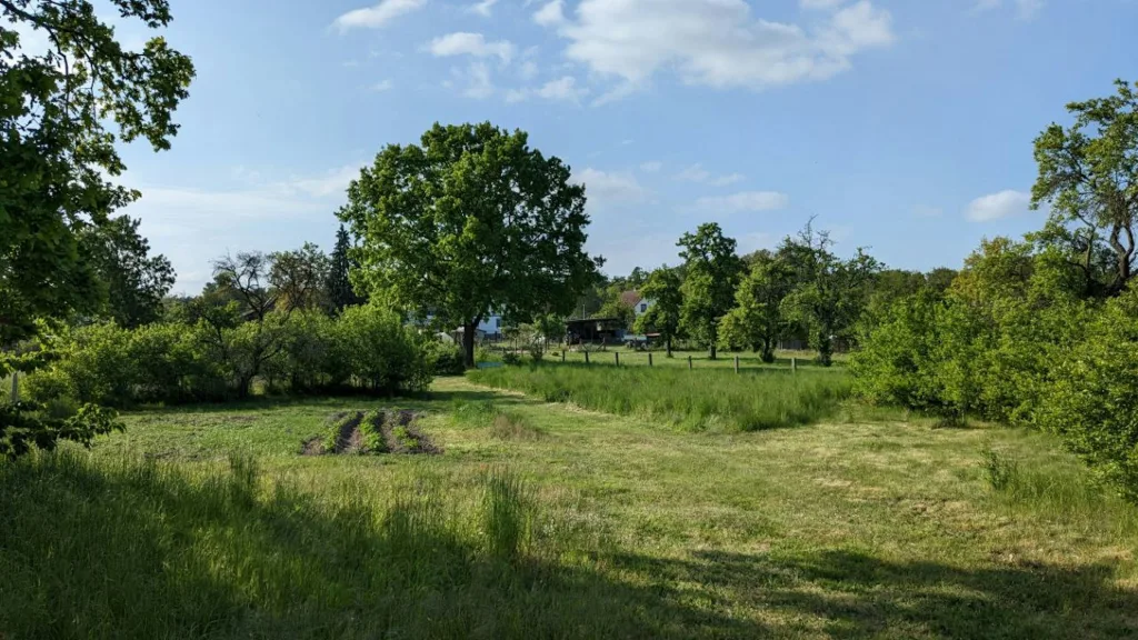 Sommerlaune-erlebe die Milchstraße!