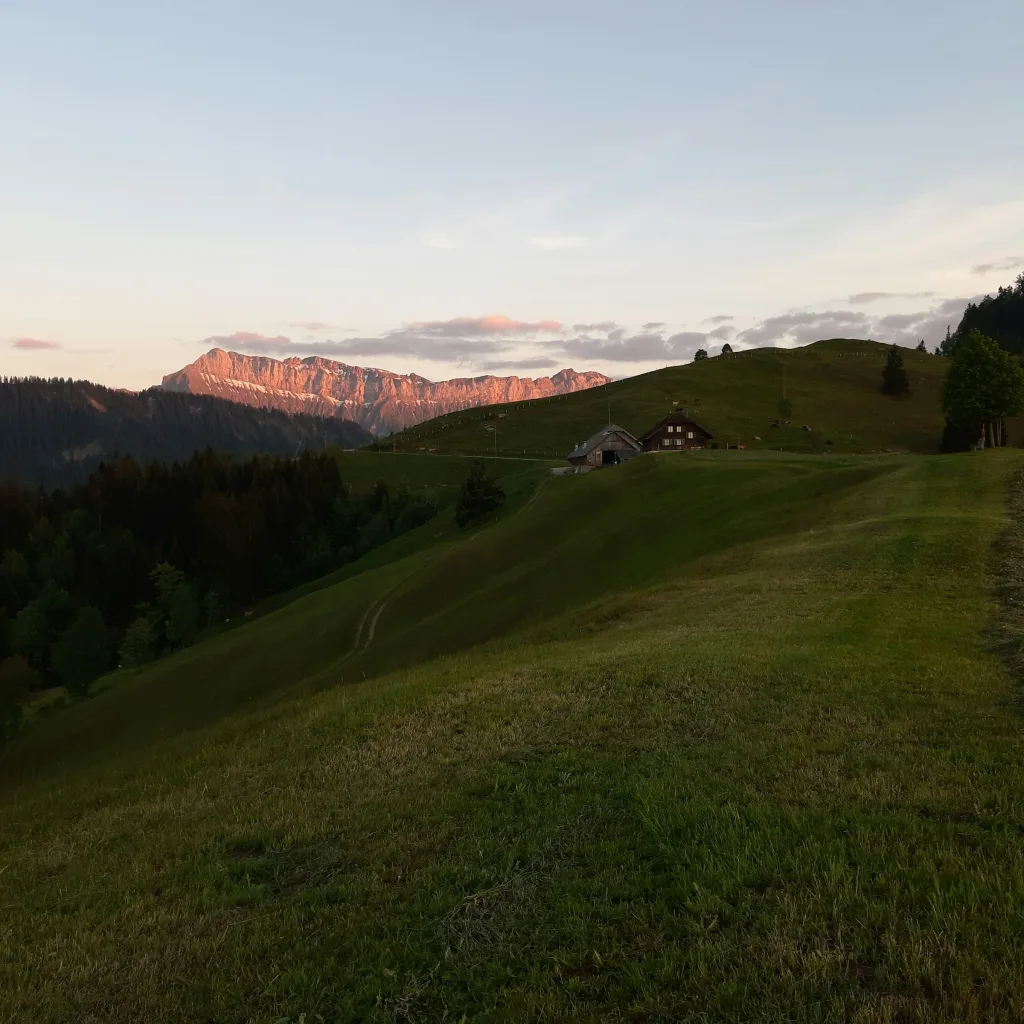 Camp "im Grünen"