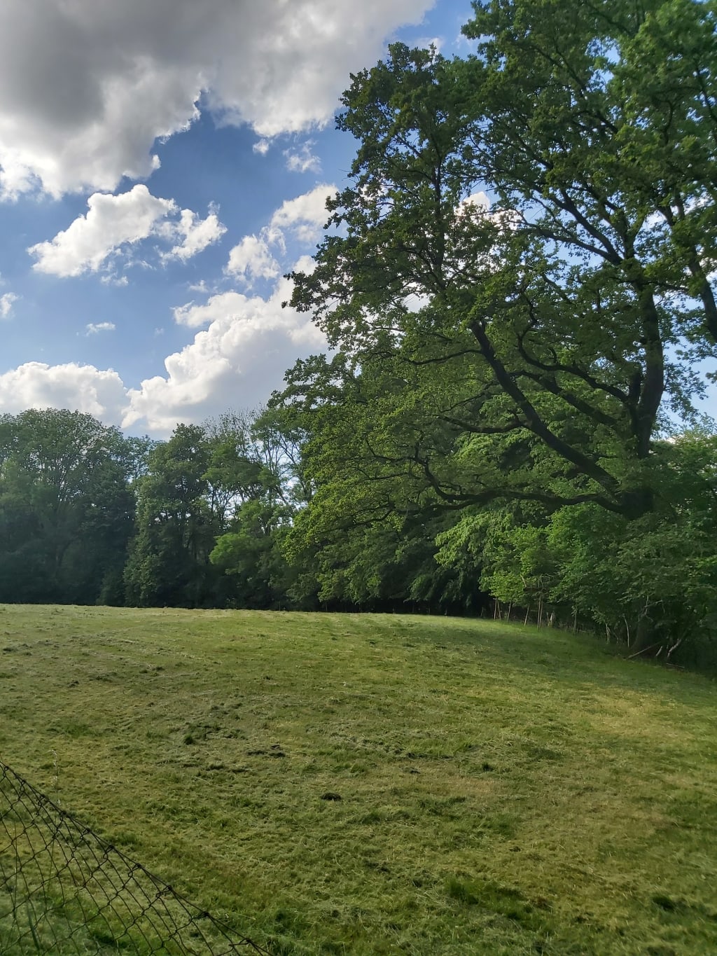 Mitten in der Natur zwischen Bodensee und Allgäu