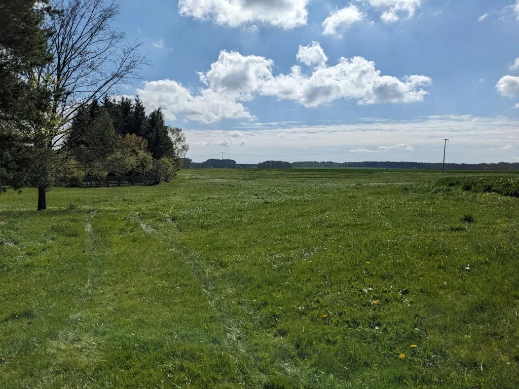 Ruhige Fernblick-Wiese am Feldrand