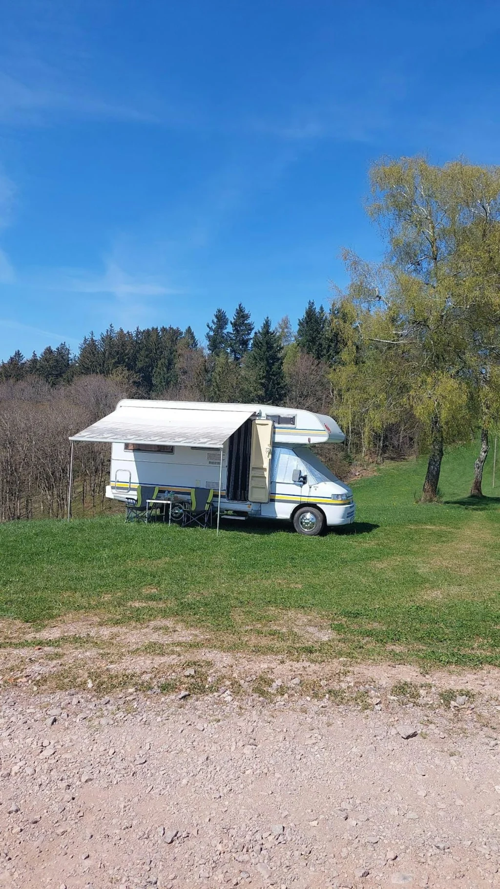 Natur pur - beim Kölble Hof -Birken