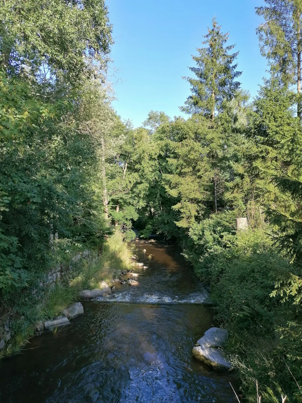 Wiese am Bach beim Nationalpark