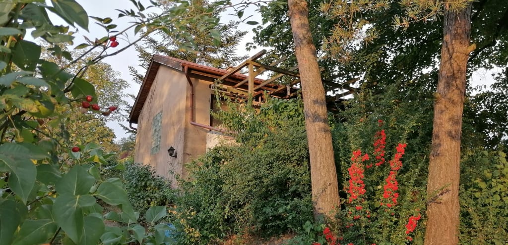 Wo's Blümle wächst - Das Haus