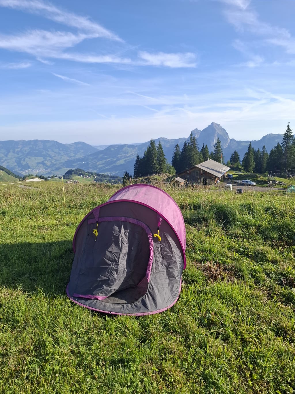 Alpweide mit Panoramablick