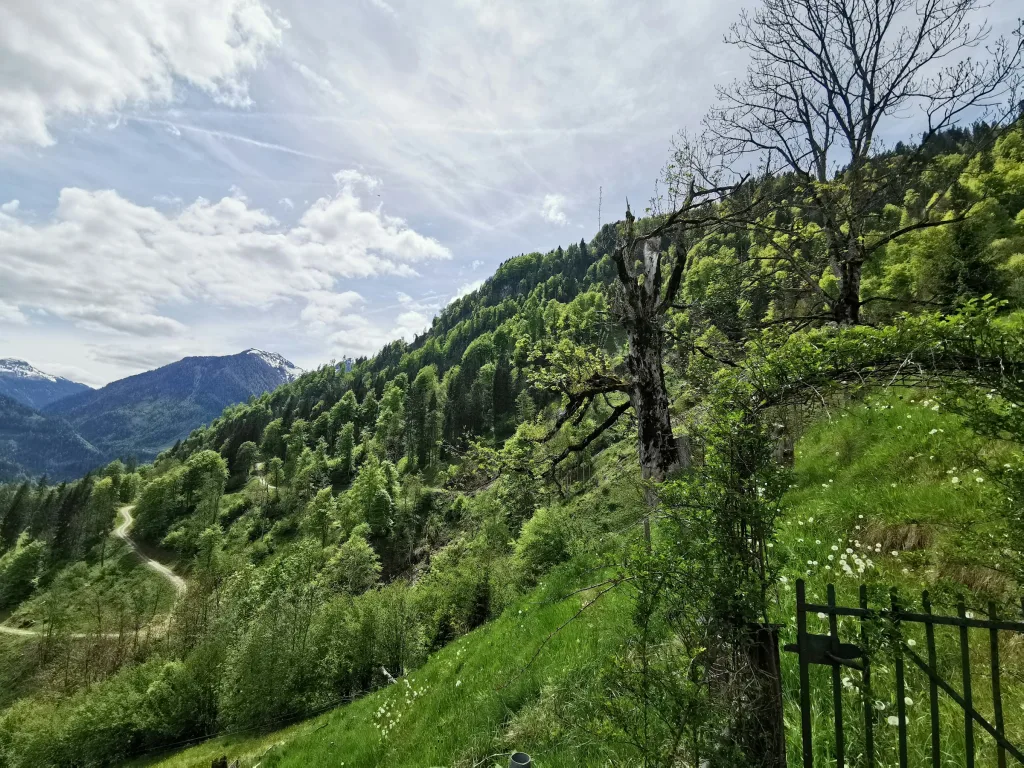Auszeit auf der Wildtier-Alm