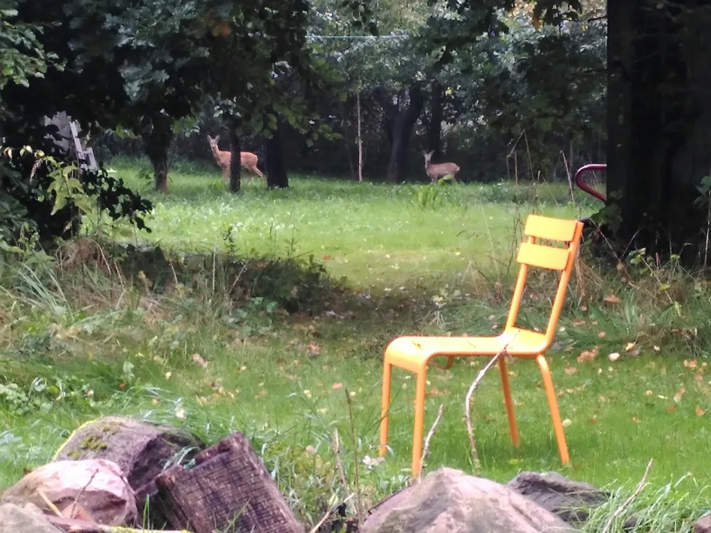Englischer Garten
