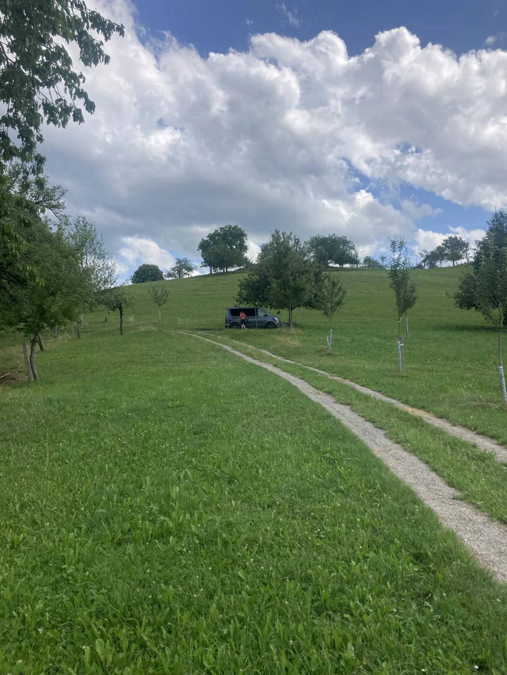 Naturplatz im Obstgarten