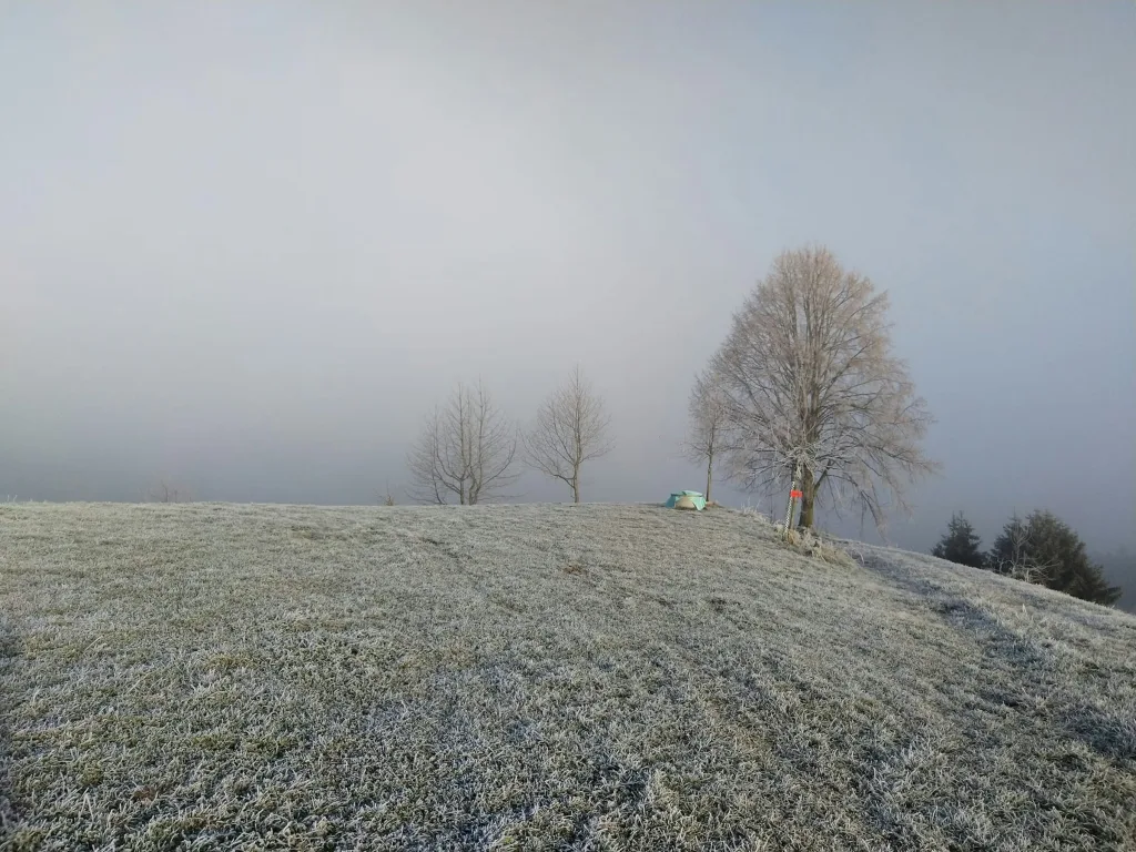 Nespel-Camp