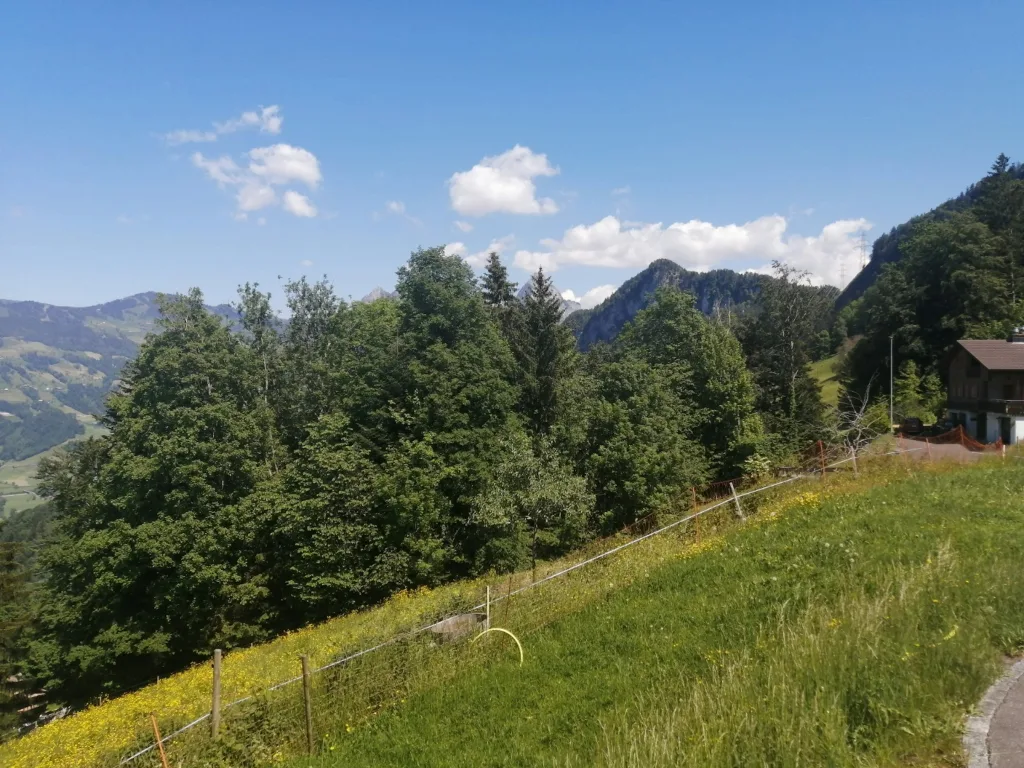 Panorama Seesicht