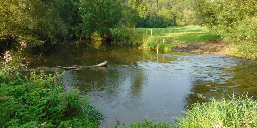 Idyllische Wiese an der Bühler