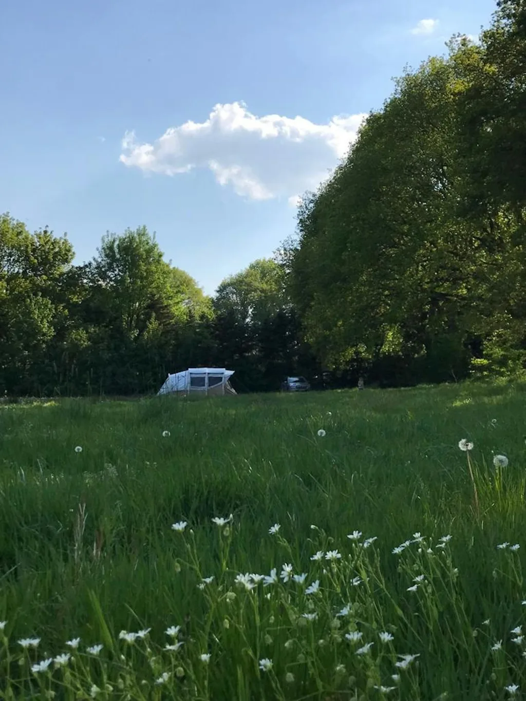 Zwischen Weser, Elbe und Küste.