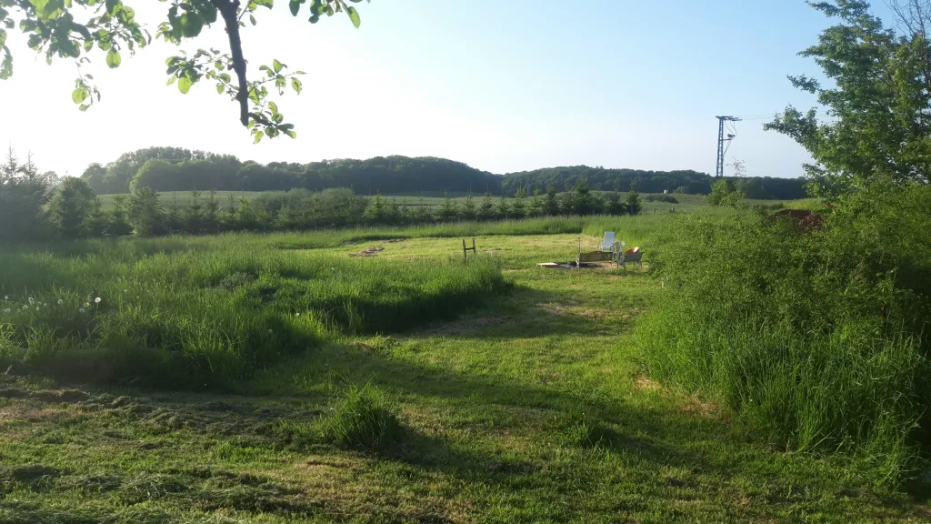 Wiese mit Feldblick