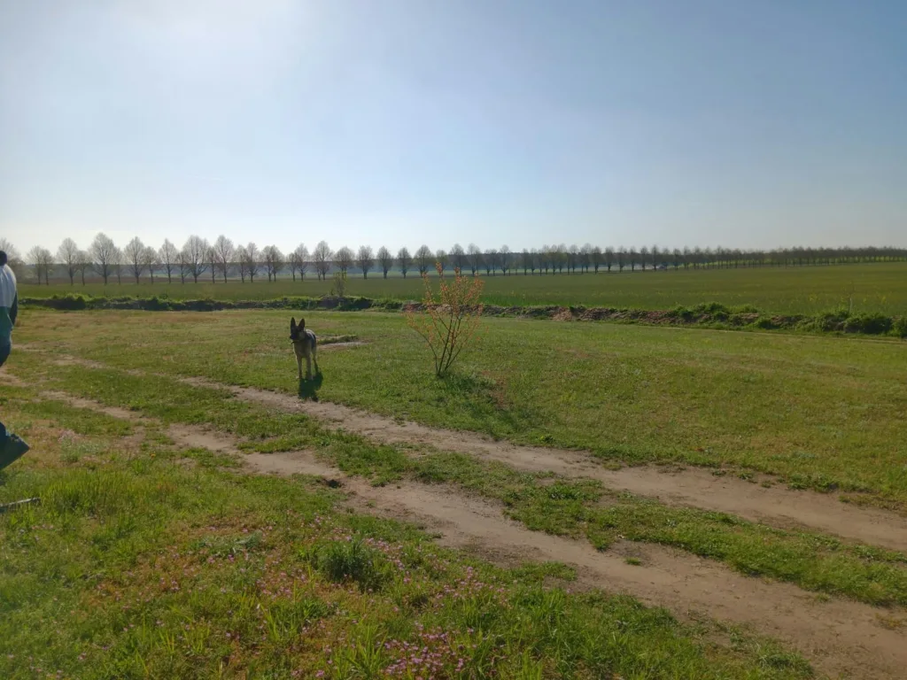 Natur Pur in Mecklenburg-Vorpommern