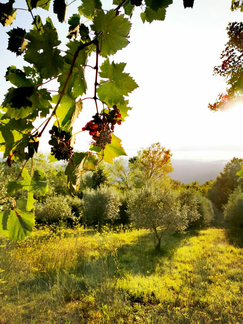 Naturparadies in Hügeln der Toskana