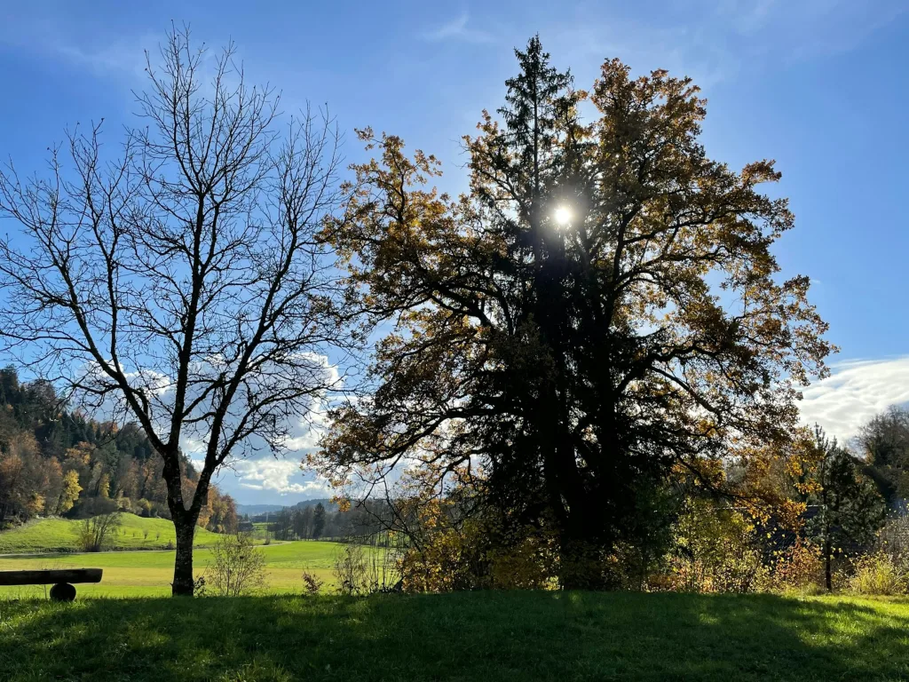 Kiltberg, Rottäli