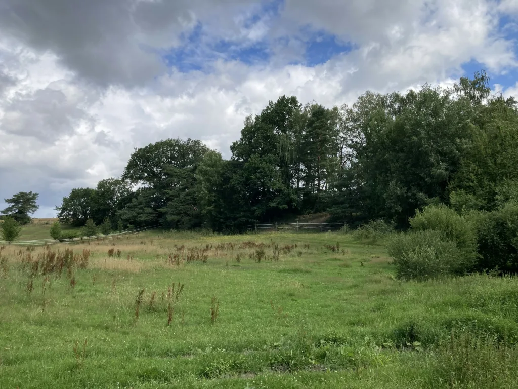 Erholung im Pferdeland