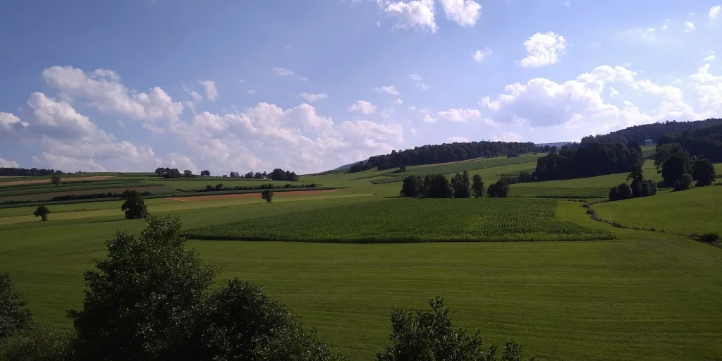 Bayrischer Wald - Sumava -  Outback