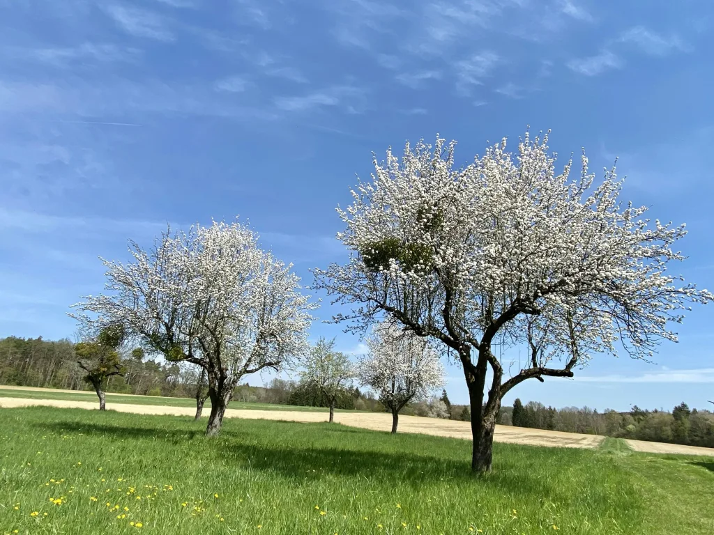 Erholung im Uhudlerland