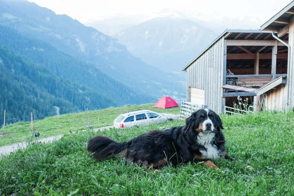 Hof Pardeals