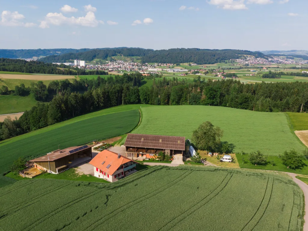 Wallbergweid