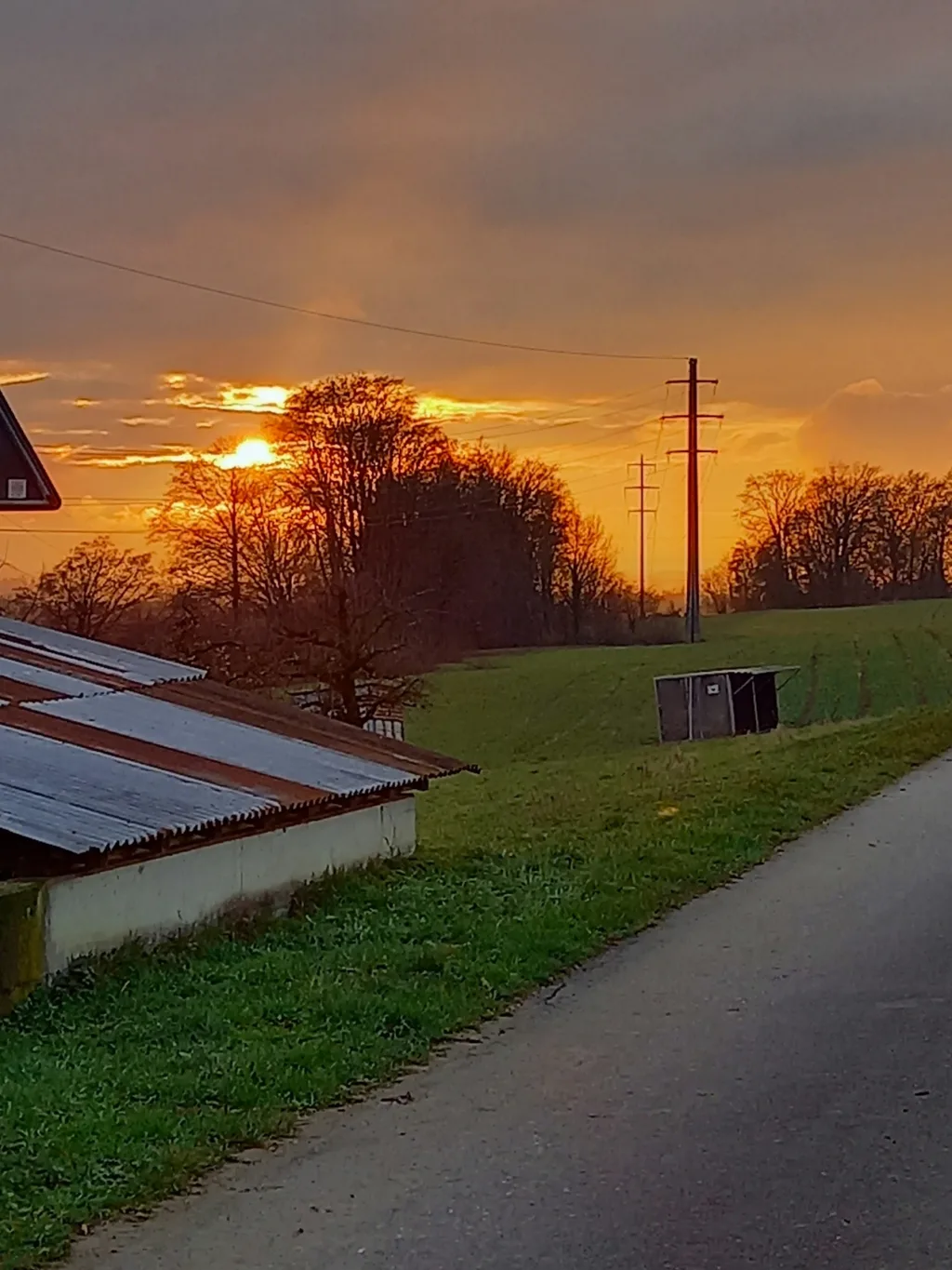 Rieselhof
