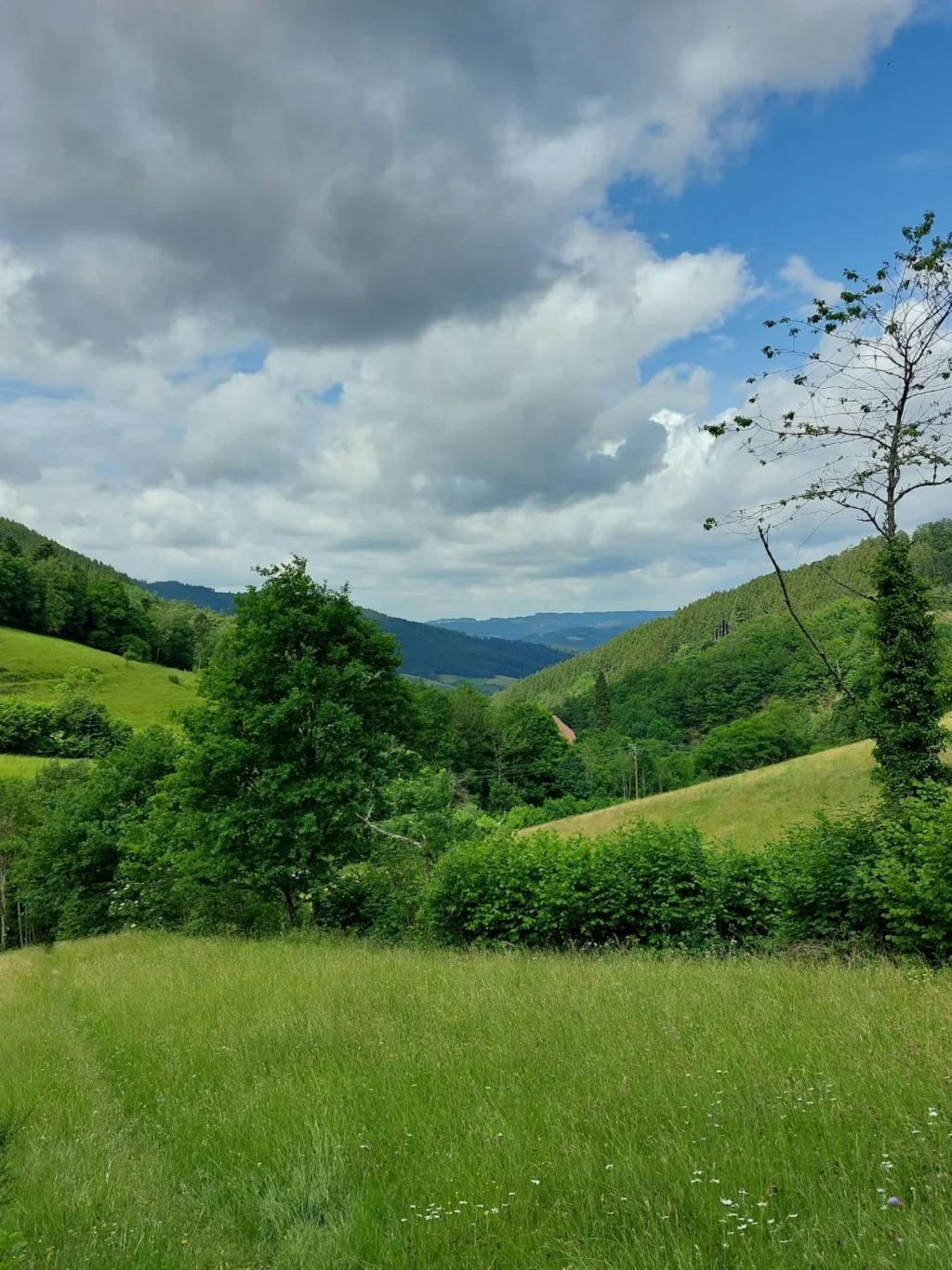 Natur hautnah