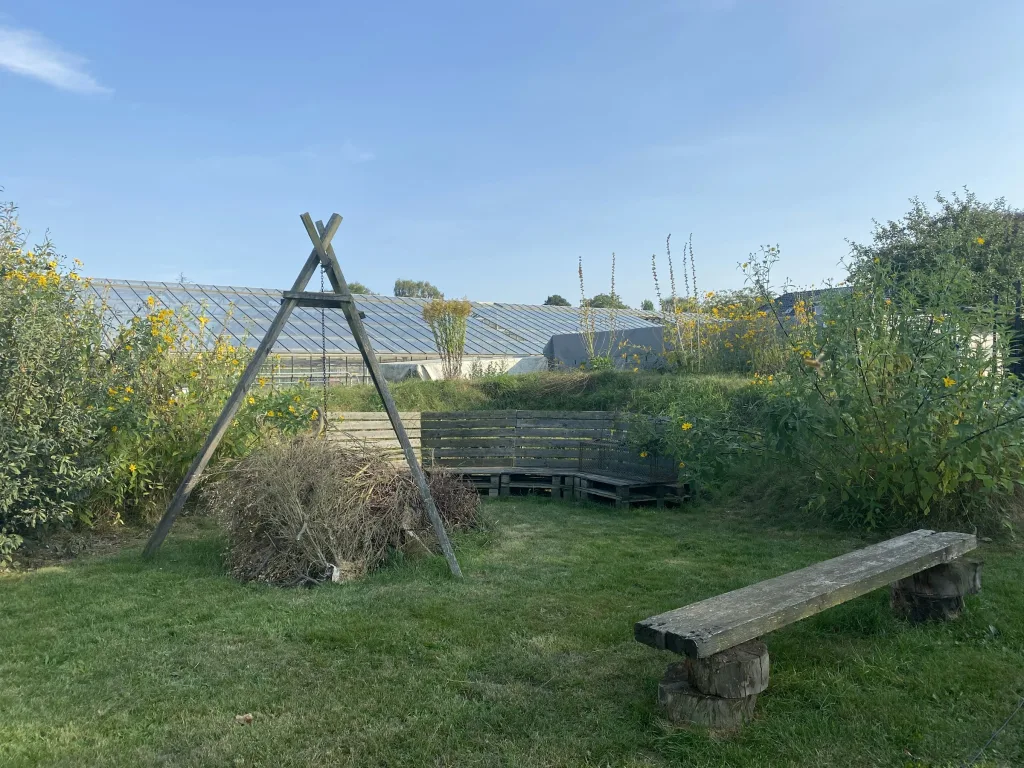 Wiese hinterm Haus
