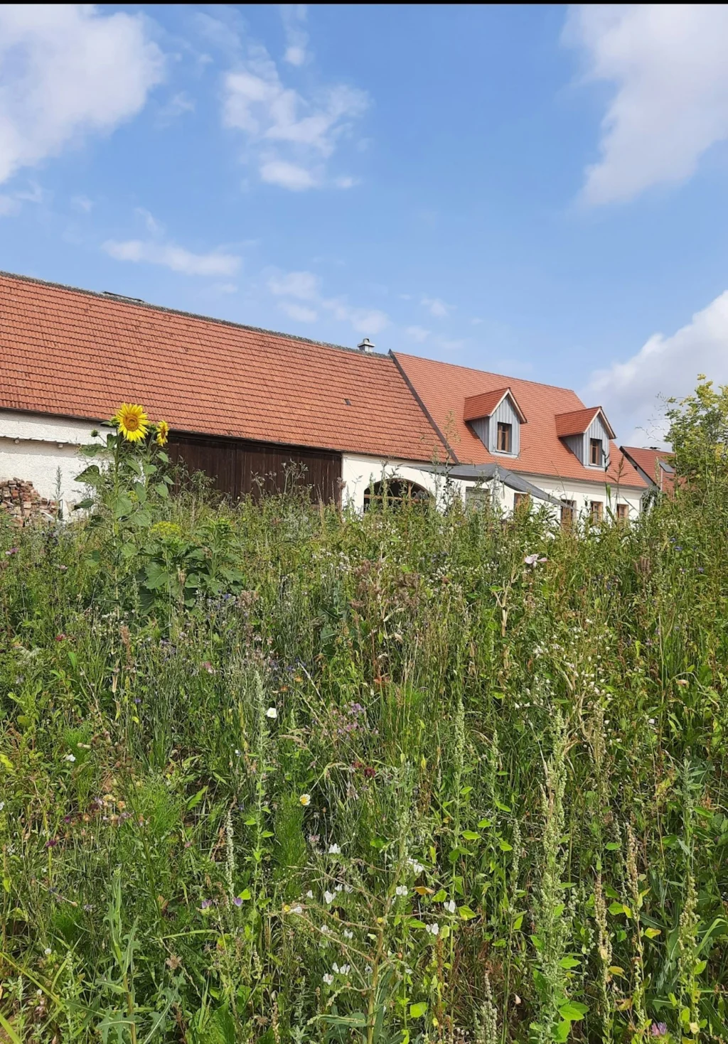 Stellplatz mit tollem Donautalblick
