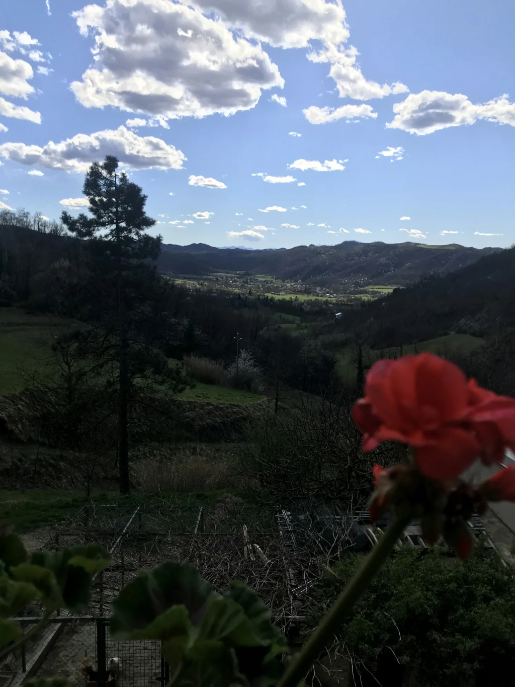 Il tesoro di MiRo