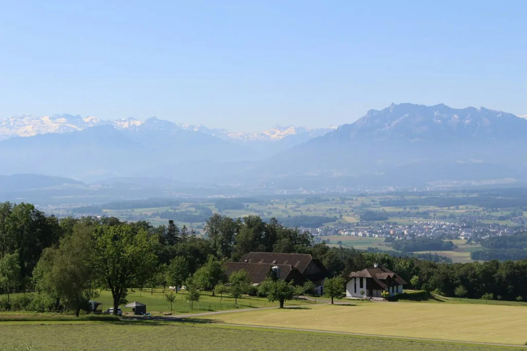 Bergweid