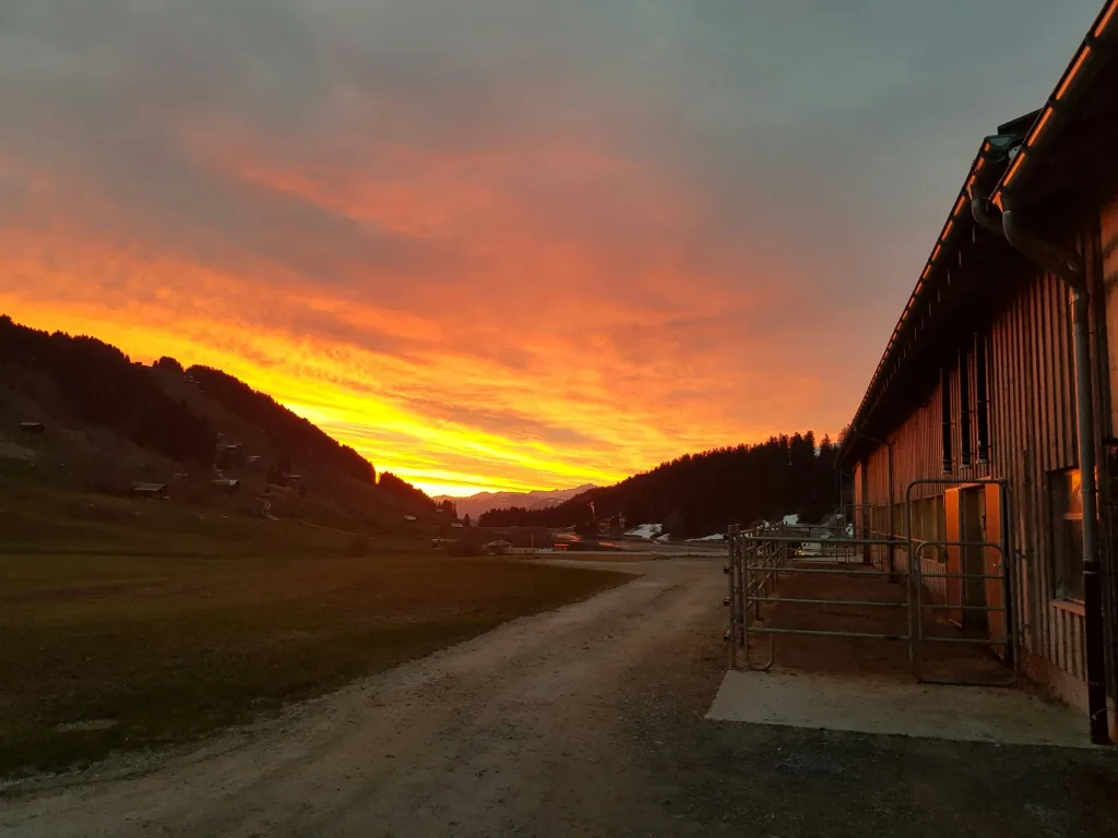 Bio - Bauernhof Muoth Brigels