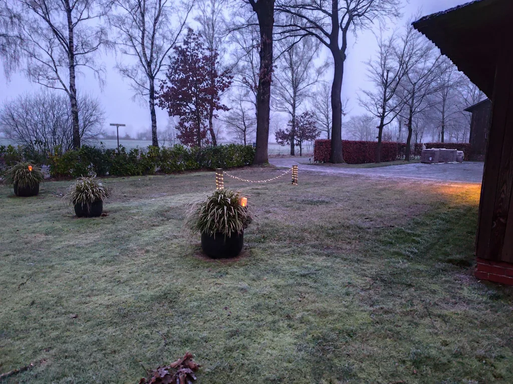 Bild aus 01/2025