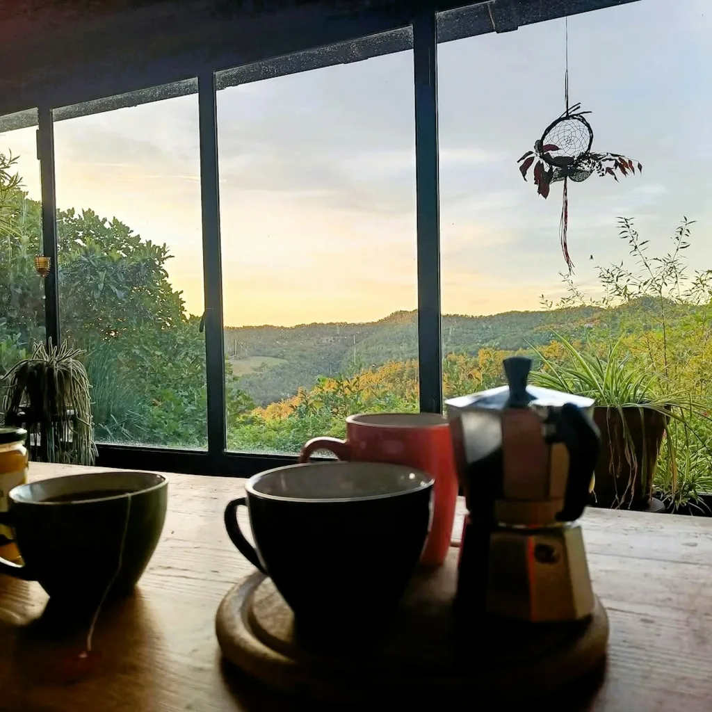 Terrazzamenti nelle selvagge langhe