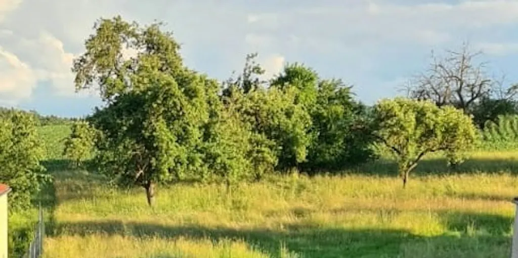 Campen in der Obstwiese