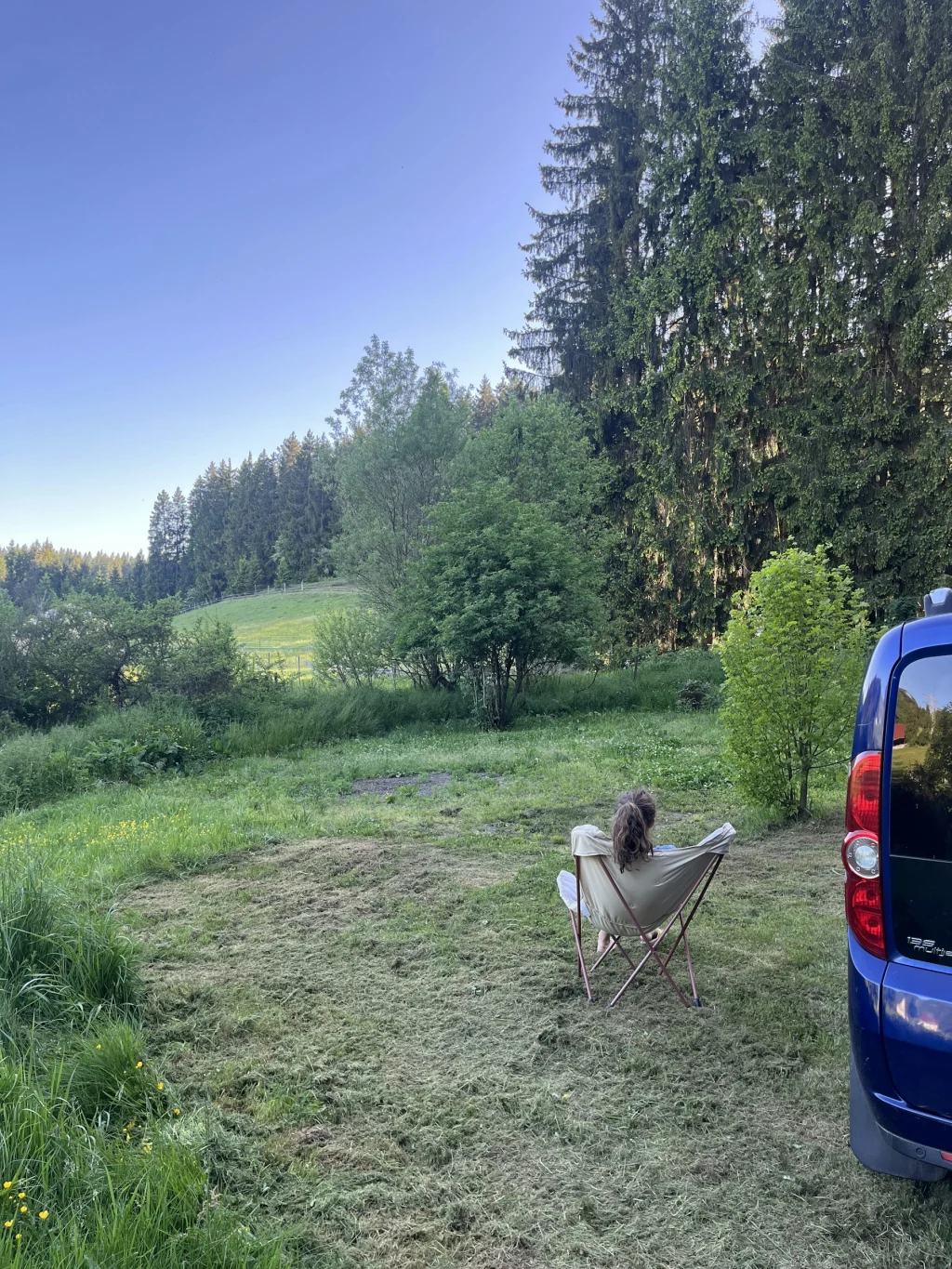 Verschnufplätzle mit Schlehenblick