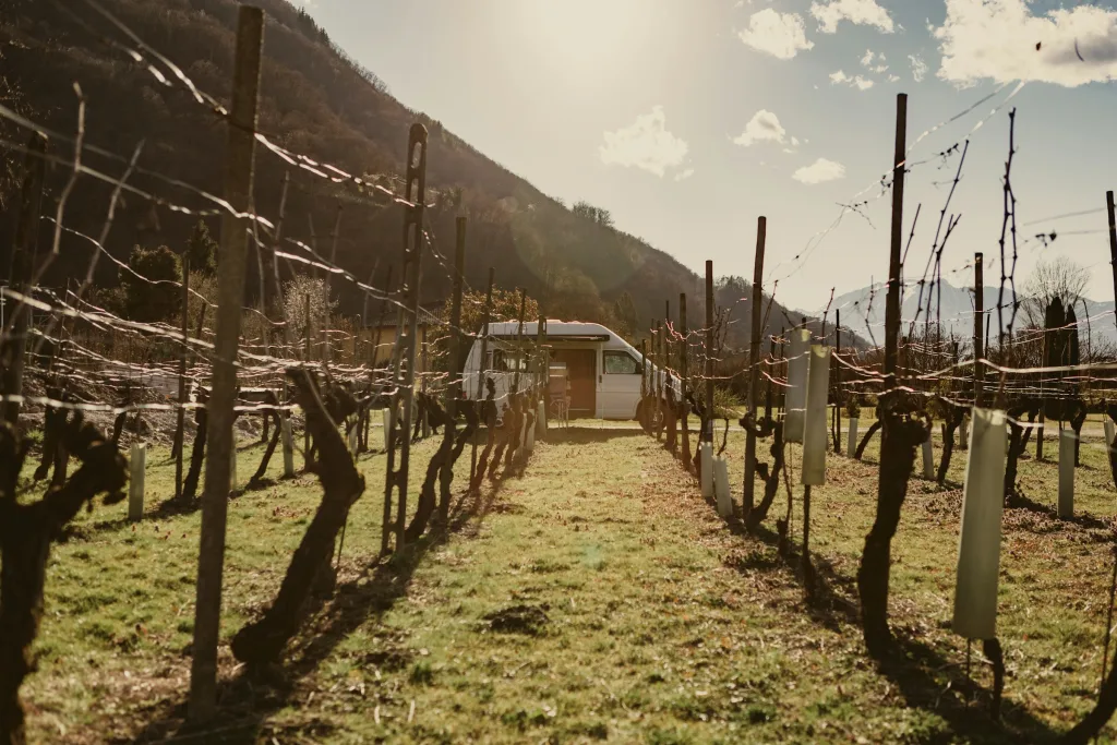 Camp Campiscioni