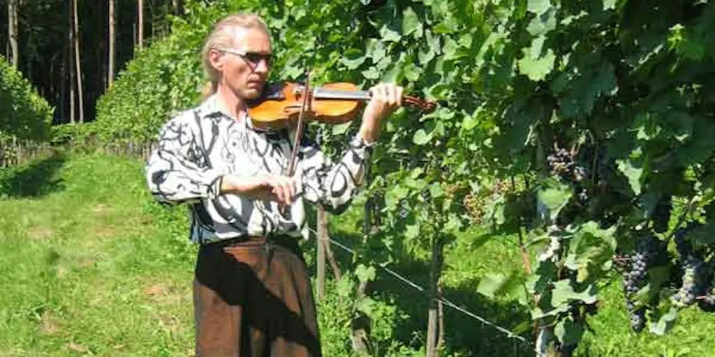 BIO-Weingarten in der Steiermark